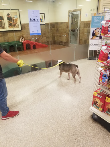 Pet Supply Store «PetSmart», reviews and photos, 3995 Welsh Rd, Willow Grove, PA 19090, USA