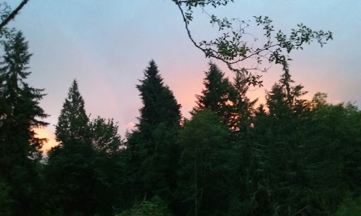 Tourist Attraction «Museum and Event Grounds for Mt. Rainier Railroad and Logging Museum», reviews and photos, 349 Mineral Creek Rd S, Mineral, WA 98355, USA