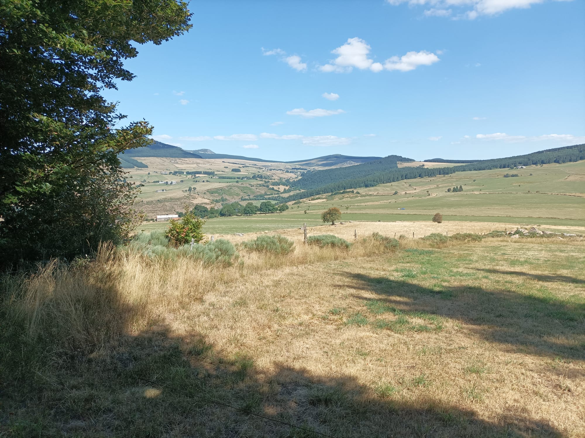 Photo n° 2 de l'avis de Cecile.u fait le 30/07/2022 à 15:42