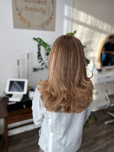 Beauty Salon «Opulent Beauty», reviews and photos, 11743 SW Hwy, Palos Heights, IL 60463, USA