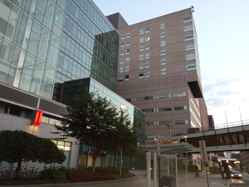 The Children's Hospital of Philadelphia Division of Neonatology