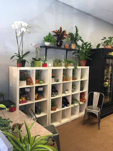 Florist «Polk Street Florist», reviews and photos, 1718-A Polk St, San Francisco, CA 94109, USA