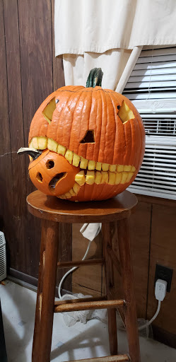 Peggy’s Circle V Ranch Center