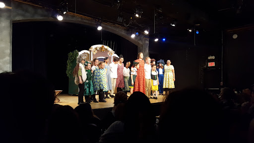 Performing Arts Theater «Community Theatre-Greensboro», reviews and photos, 520 S Elm St, Greensboro, NC 27406, USA