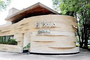 El Bajío Polanco image