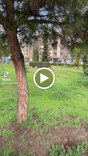 Dental clinic Las Tablas – (Montecarmelo)