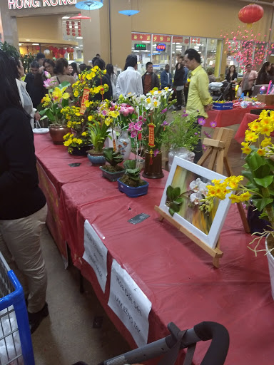 Asian Grocery Store «Hong Kong Market», reviews and photos, 2615 W Pioneer Pkwy, Grand Prairie, TX 75051, USA