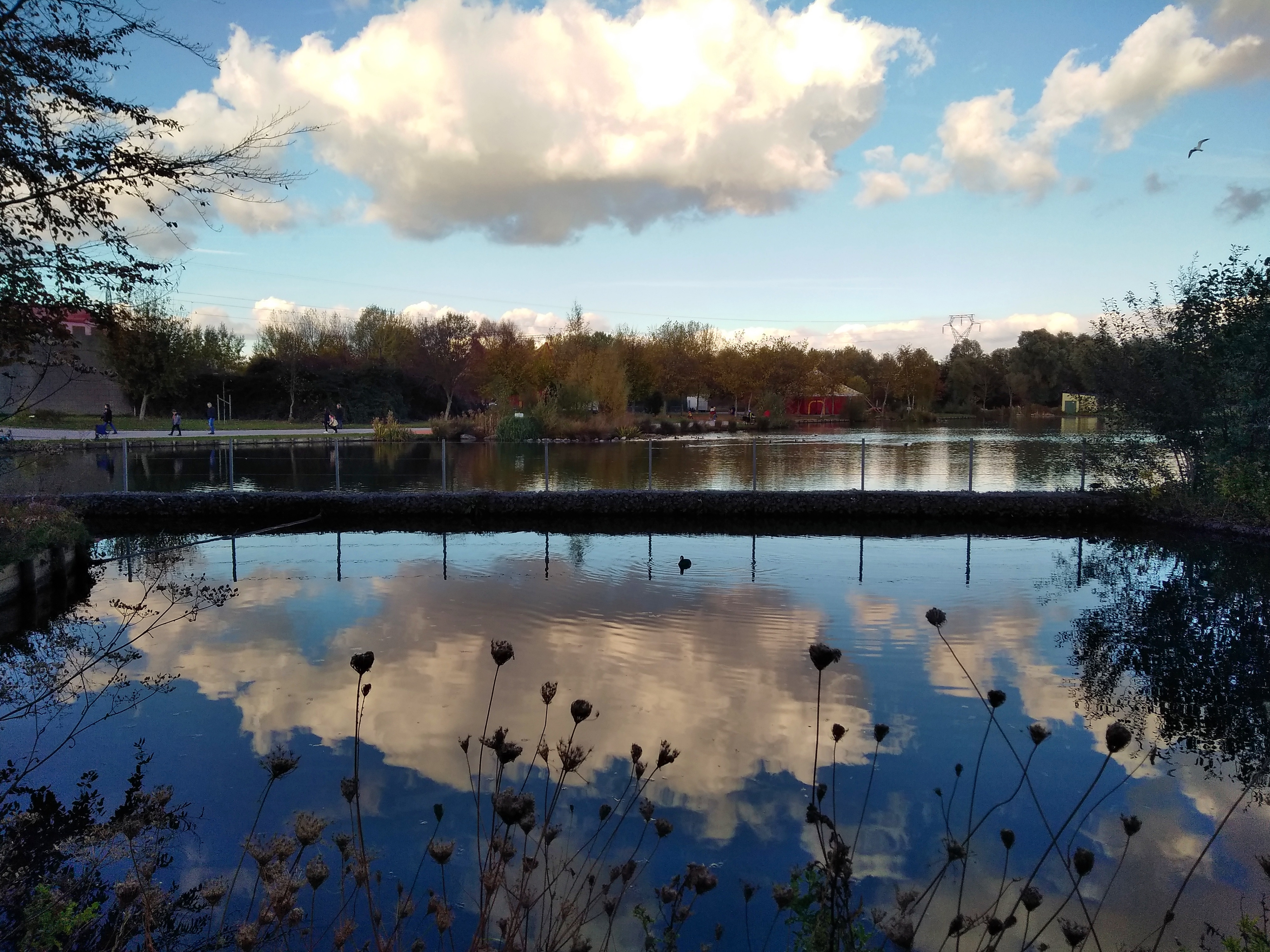 Photo n° 3 de l'avis de Claire. fait le 03/11/2018 à 10:14