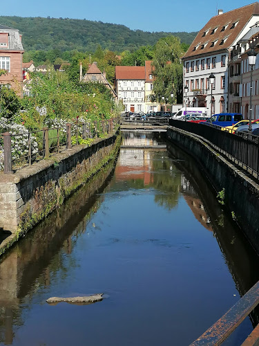 Communauté de communes du Pays de Wissembourg à Wissembourg