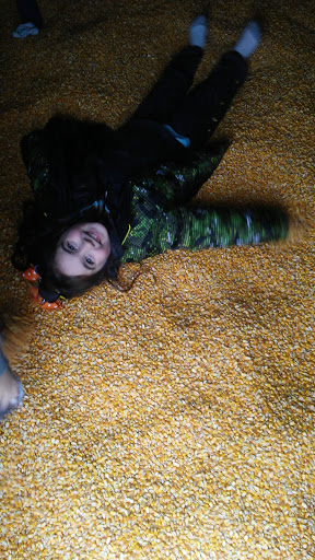 Farm «Bottom View Farm», reviews and photos, 185 Wilkerson Ln, Portland, TN 37148, USA