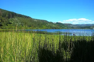 Laguna Quiñenco image