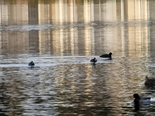 Park «Ferguson Park», reviews and photos, 1330 Ferguson Park Rd, Snohomish, WA 98290, USA