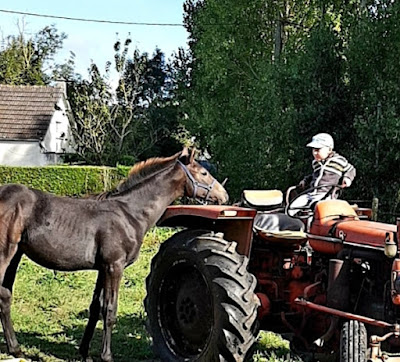 Elevage des landes à Cartigny-l'Épinay