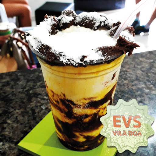 Logo da empresa - EVS Vila Boa