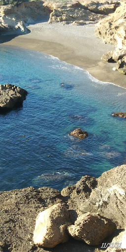 Grocery Store «Safeway», reviews and photos, 1212 Forest Ave, Pacific Grove, CA 93950, USA