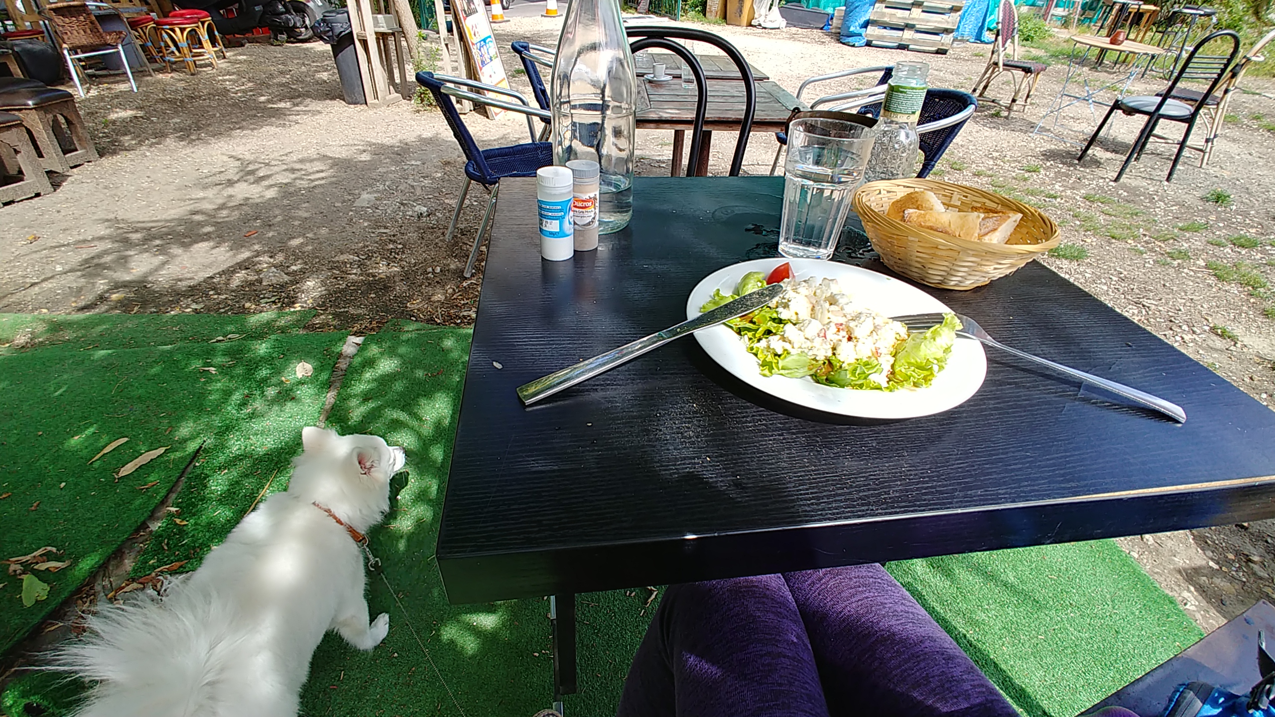 Photo n° 3 de l'avis de Coey.u fait le 13/08/2019 à 10:50