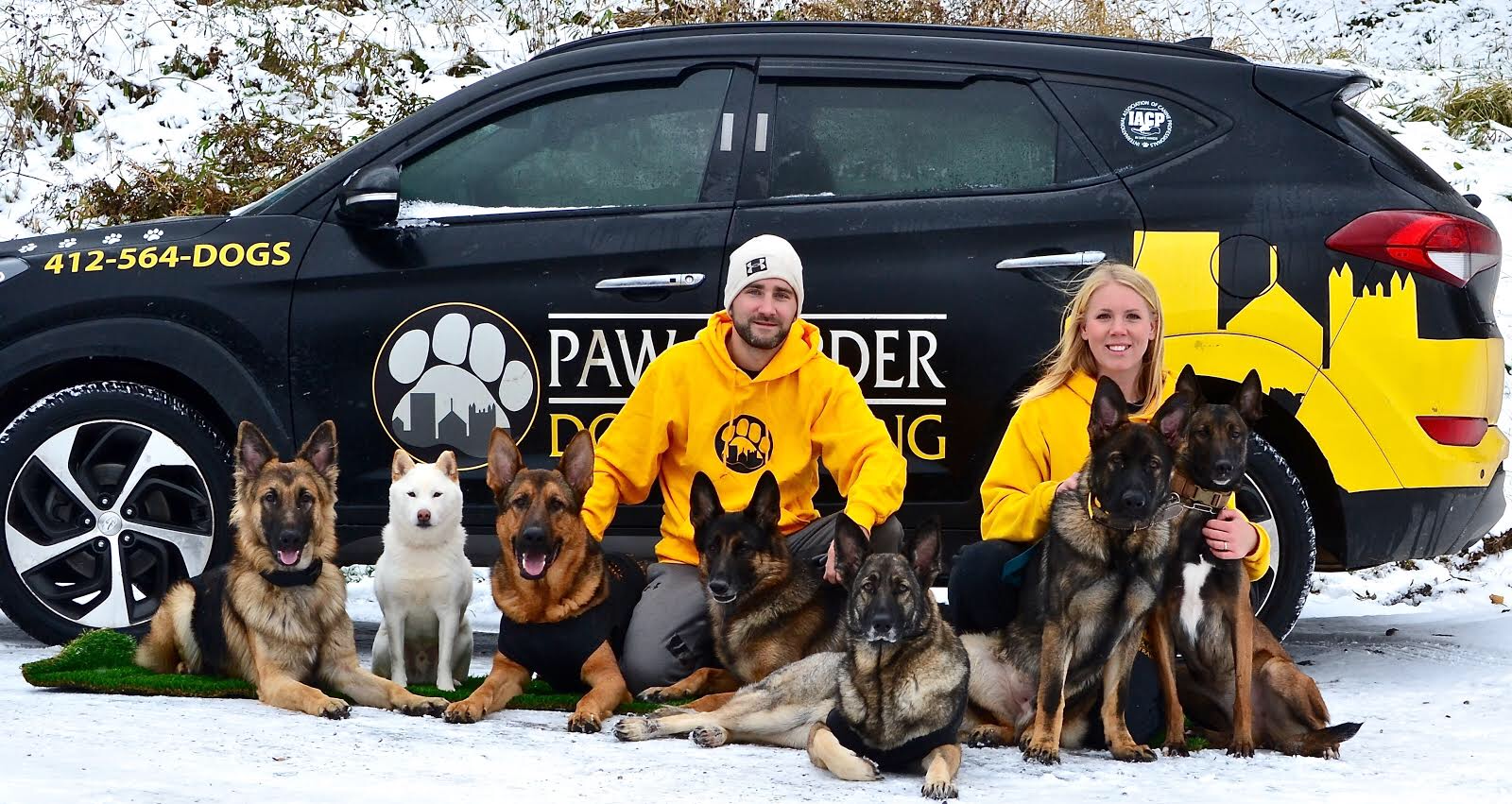 Paw & Order Dog Training Pittsburgh
