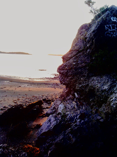 Park «Joe Moakley Park», reviews and photos, 1005 Columbia Road, Boston, MA 02127, USA