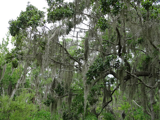 City Park «Palatlakaha Recreation Park», reviews and photos