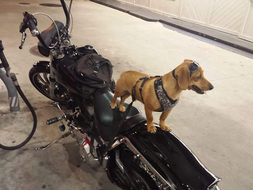 Motorcycle Repair Shop «Cycle Stop USA», reviews and photos, 808 S Woodrow Wilson St #3, Plant City, FL 33563, USA