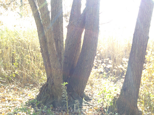 Park «Baisley Pond Park», reviews and photos, Baisley Blvd, Jamaica, NY 11434, USA