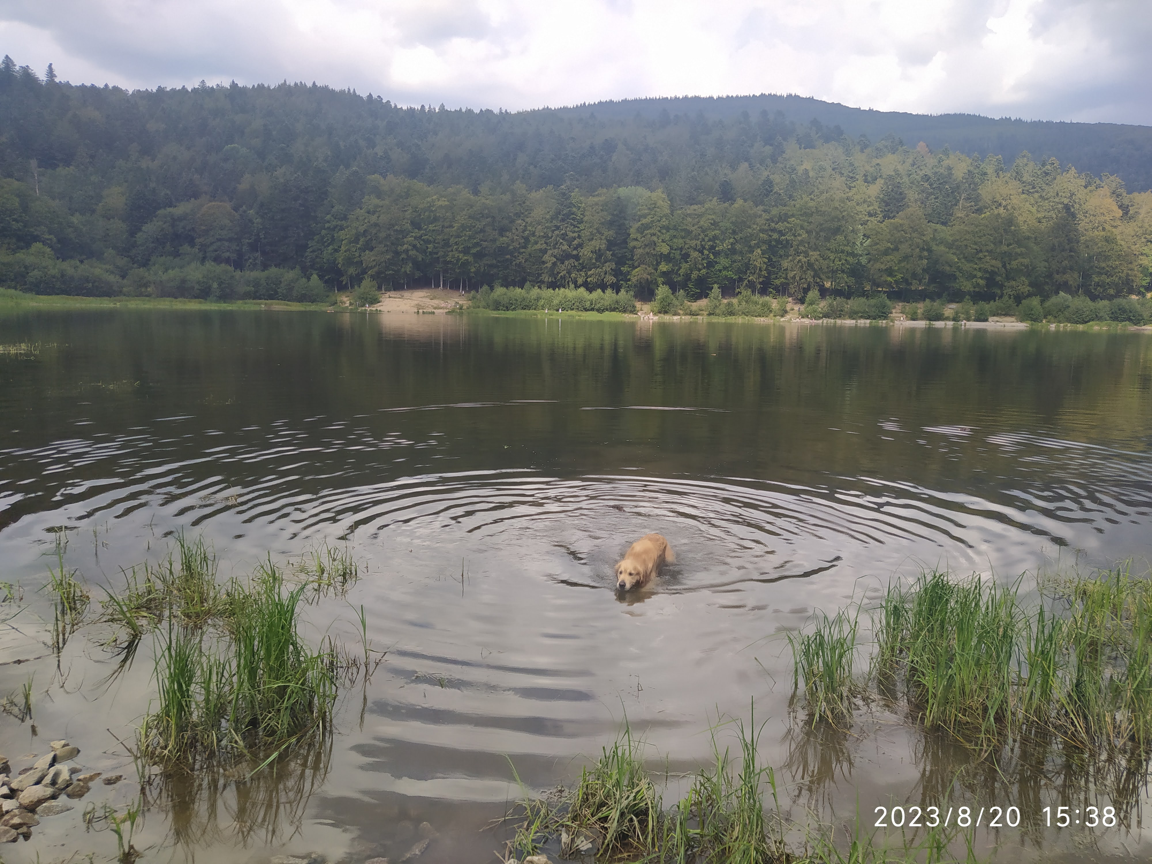 Photo n° 3 de l'avis de Francois.o fait le 30/08/2023 à 16:07