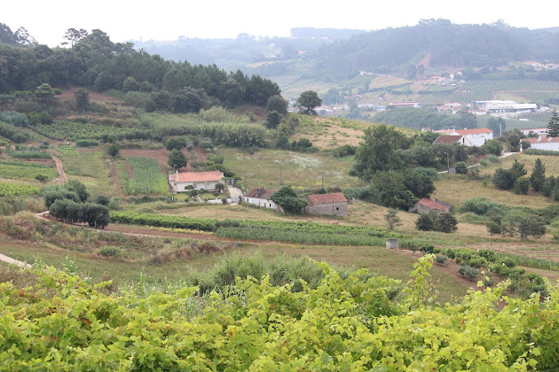 Extérieur Villa Villa Ricardo 2460-773 Alcobaça