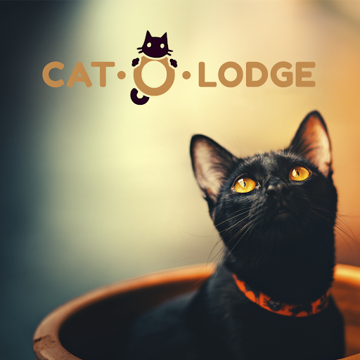 Cat-O-Lodge Cicapanzió és Cicanapközi Buda