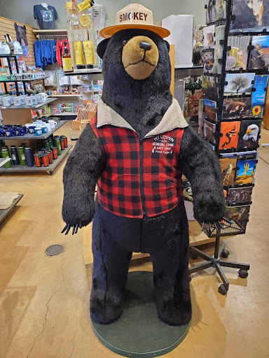 Gift Shop «Mt Lemmon General Store & Gift», reviews and photos, 12856 N Sabino Canyon Park, Mt Lemmon, AZ 85619, USA