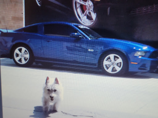 Explore navajo tattoo ideas, creative tattoo ideas in Peoria, available at Iron Key Tattoo Studio Inc.