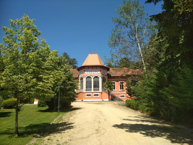 Parque de Pedras Salgadas - Ecoturismo & Spa Termal - Campo de futebol