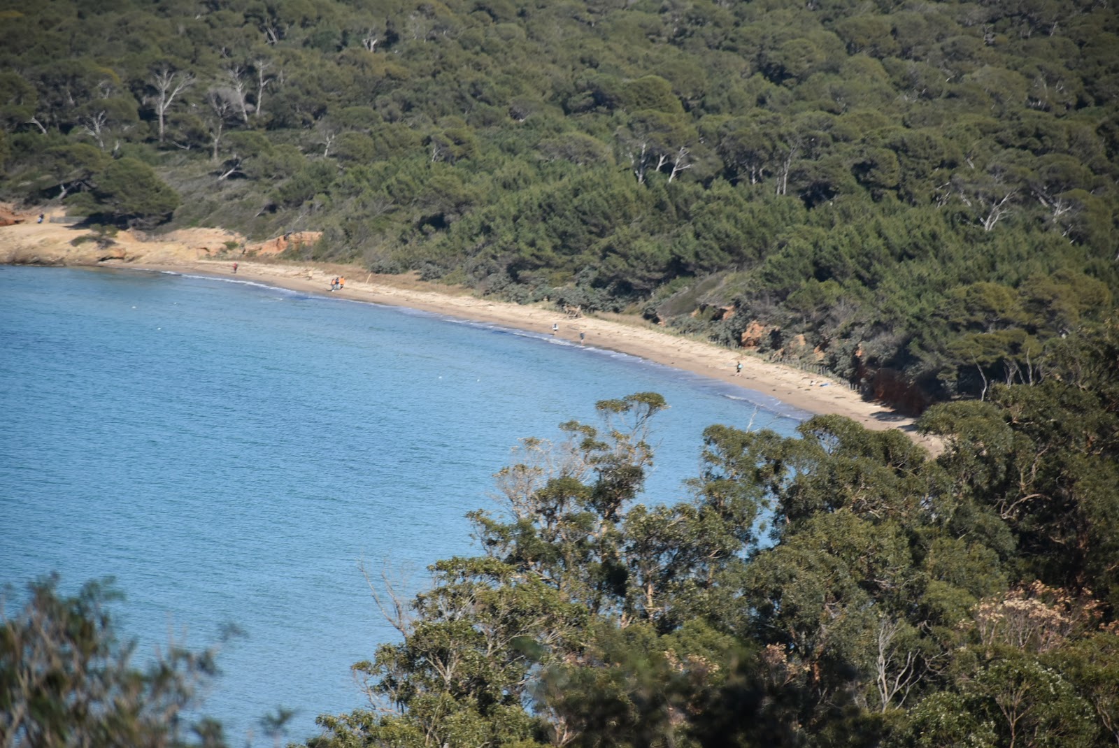 Plage de la Courtade photo #9