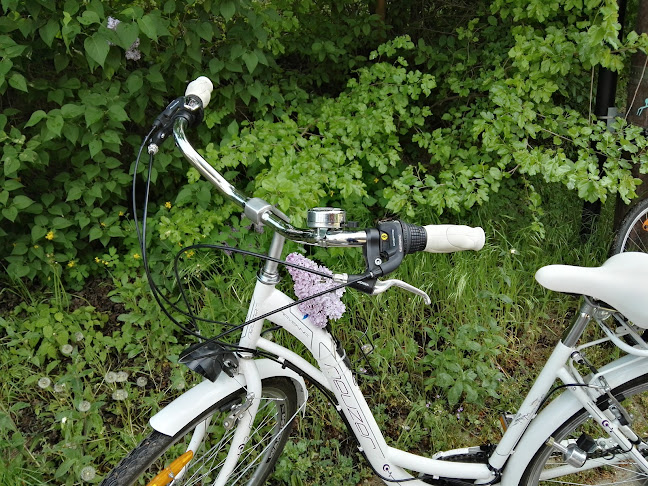 Dunakanyar kerékpárkölcsönző - Kerékpárbolt