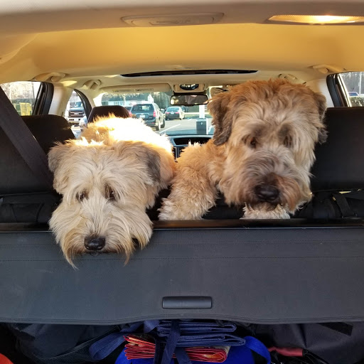 Home Improvement Store «Tractor Supply Co.», reviews and photos, 67 Palomba Dr, Enfield, CT 06082, USA