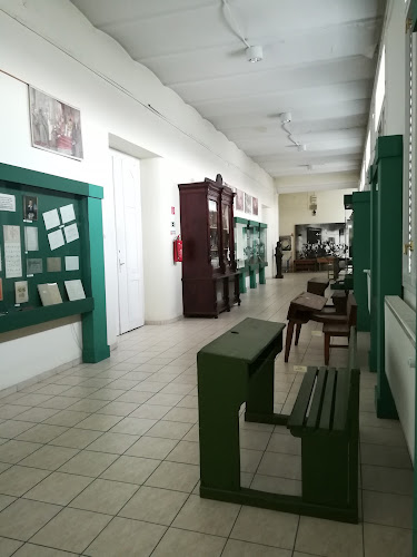 Országos Pedagógiai Könyvtár és Múzeum - Könyvtár