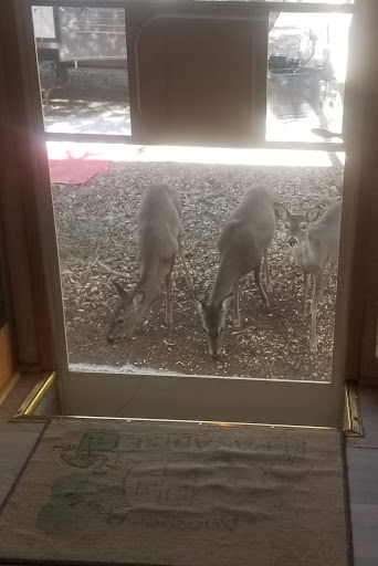 RV Repair Shop «Class A RV Repairs», reviews and photos, 9500 TX-16, Pipe Creek, TX 78063, USA