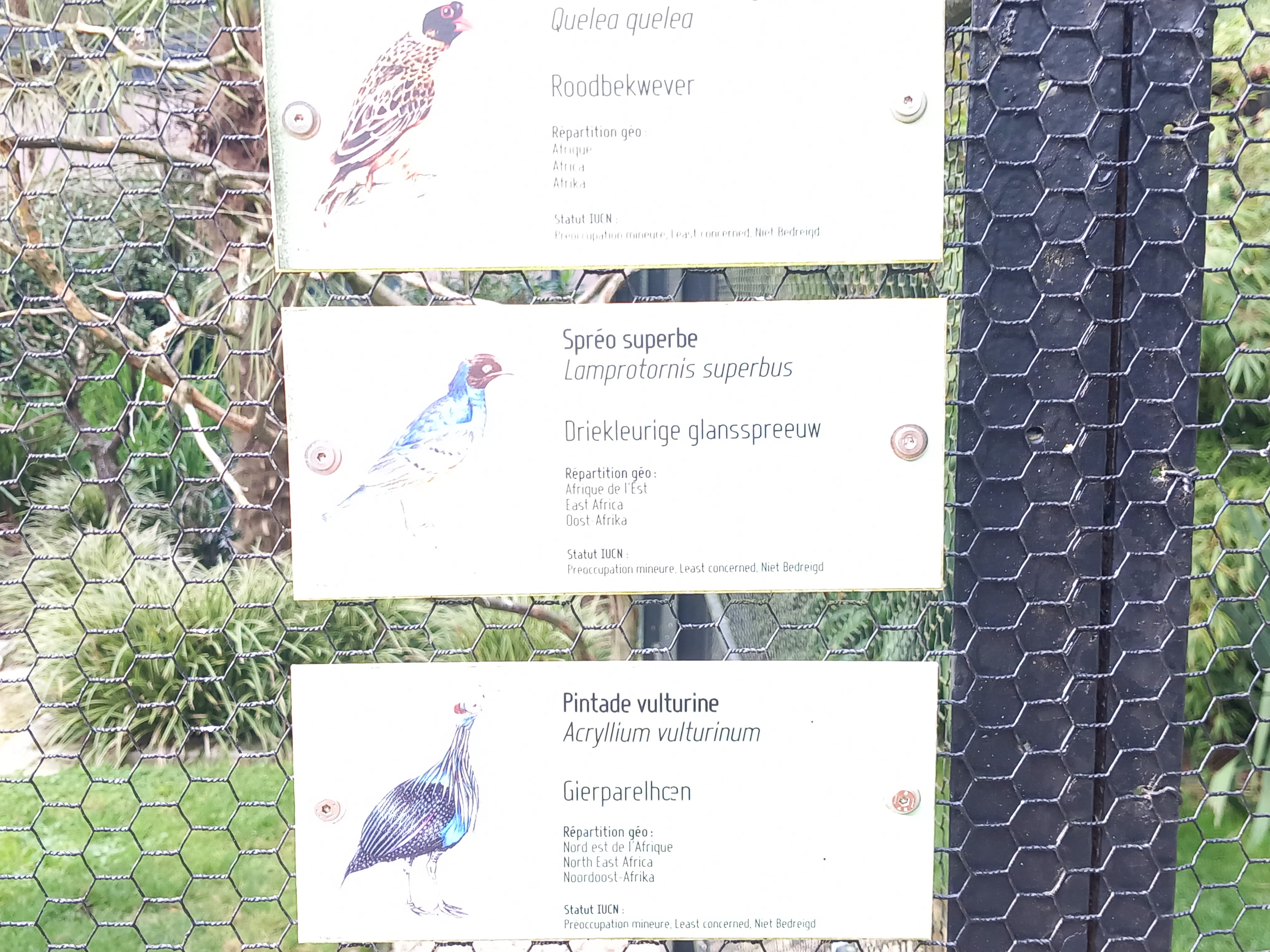 Photo n° 19 de l'avis de Julien.a fait le 11/10/2023 à 18:47