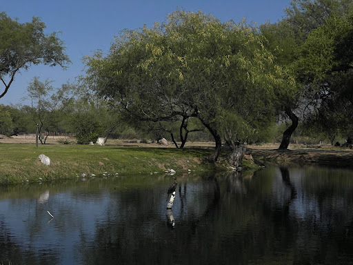 Indoor Lodging «La Mariposa Resort», reviews and photos, 1501 N Houghton Rd, Tucson, AZ 85749, USA