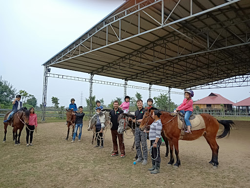 Hanoi Horse Riding Club
