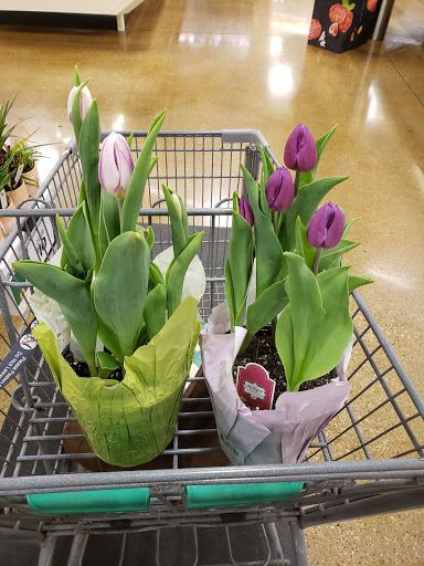 Health Food Store «Sprouts Farmers Market», reviews and photos, 2003 S Main St, Keller, TX 76248, USA