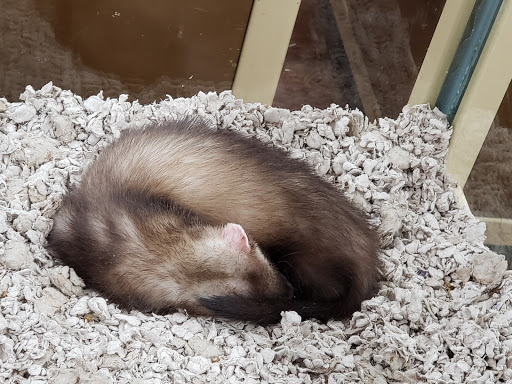 Pet Supply Store «Pet Supermarket, Inc.», reviews and photos, 3911 Lemmon Ave, Dallas, TX 75219, USA