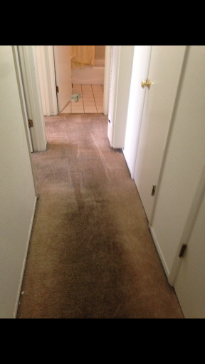 Insulation Contractor «B Green Service», reviews and photos