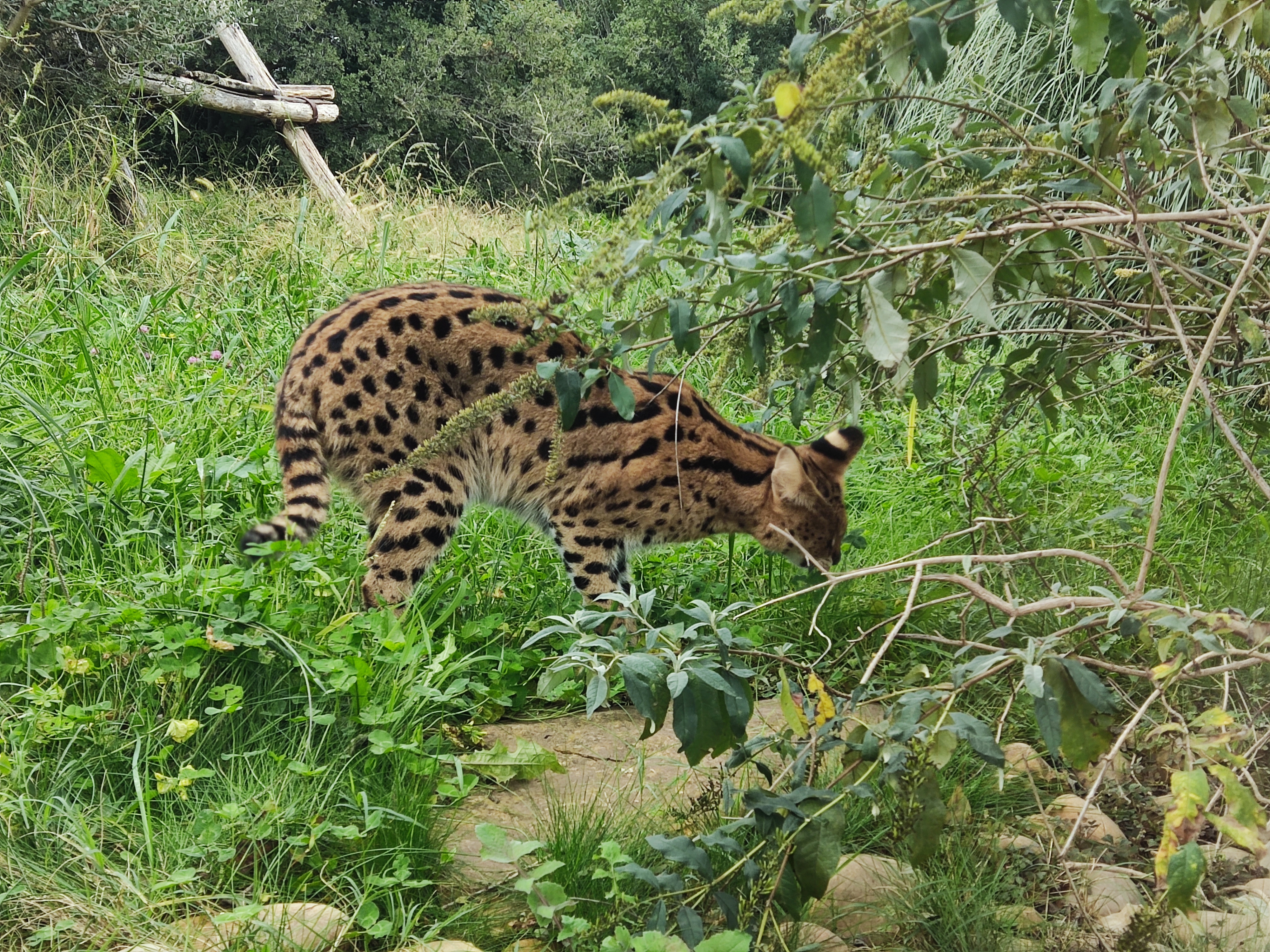 Photo n° 2 de l'avis de Mehdi.a fait le 26/10/2023 à 17:40