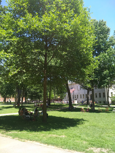 Monument «John Harvard Statue», reviews and photos, 1 Harvard Bus Tunnel, Cambridge, MA 02138, USA