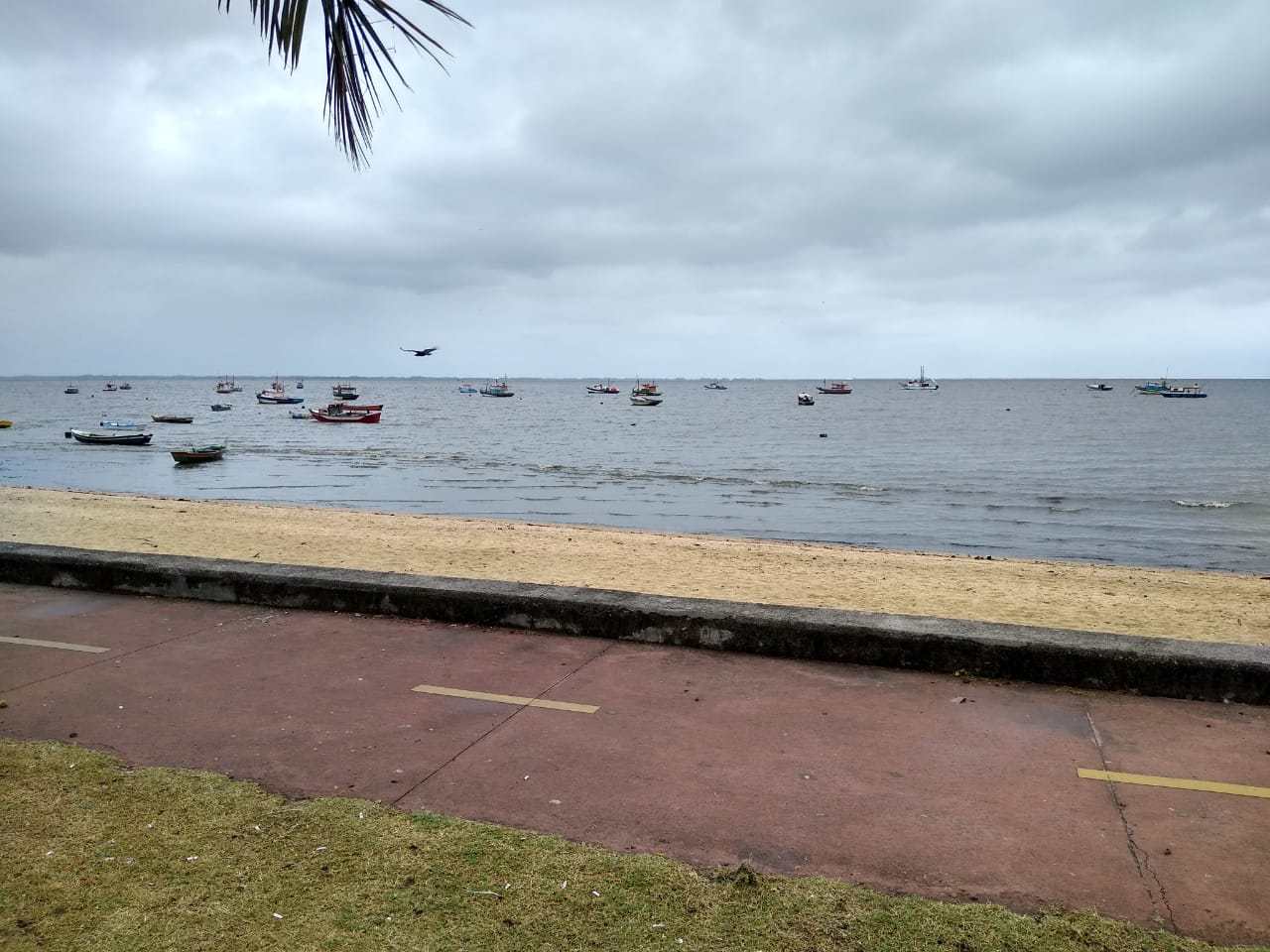 Fotografie cu Praia Dona Luiza - locul popular printre cunoscătorii de relaxare
