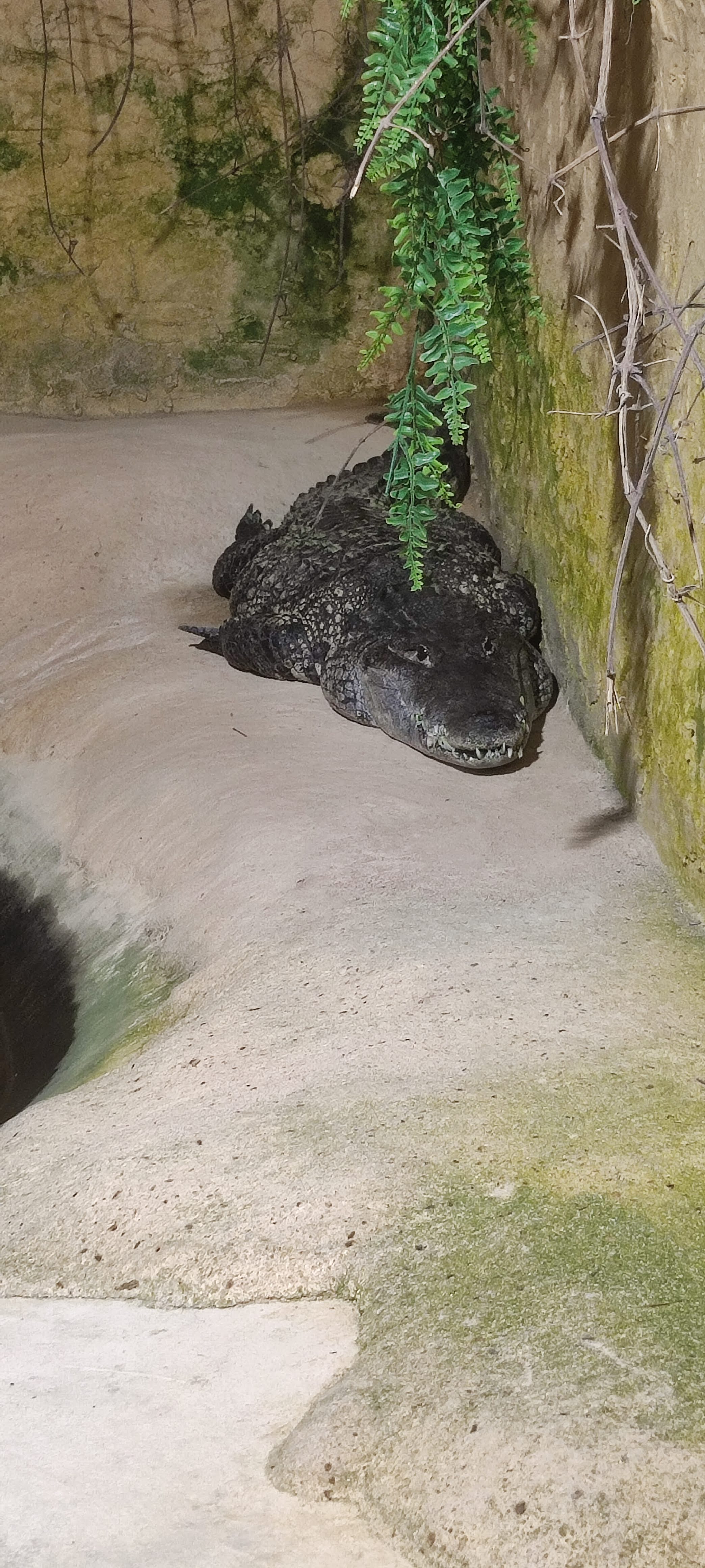 Photo n° 44 de l'avis de Yannick.o fait le 11/02/2023 à 16:29