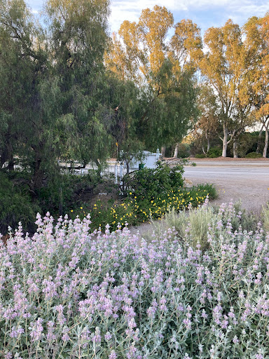 Learning Center «George F Canyon Preserve and Nature Center», reviews and photos, 27305 Palos Verdes Dr E, Rolling Hills Estates, CA 90274, USA