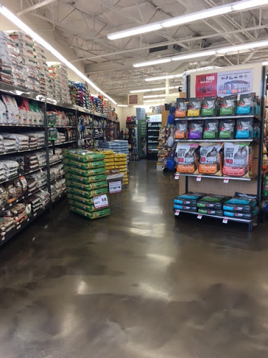 Pet Supply Store «Pet Supplies Plus», reviews and photos, 1237 Concord Pkwy N, Concord, NC 28025, USA