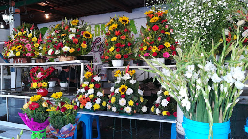 Florería Minerva – Ciudad López Mateos