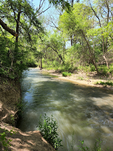 Medina River Natural Area